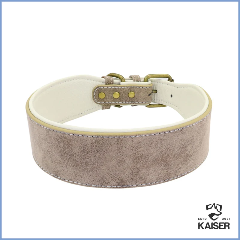 Breites Hundehalsband
