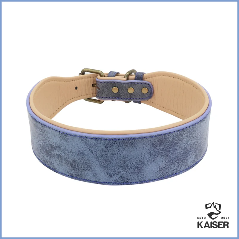 Breites Hundehalsband