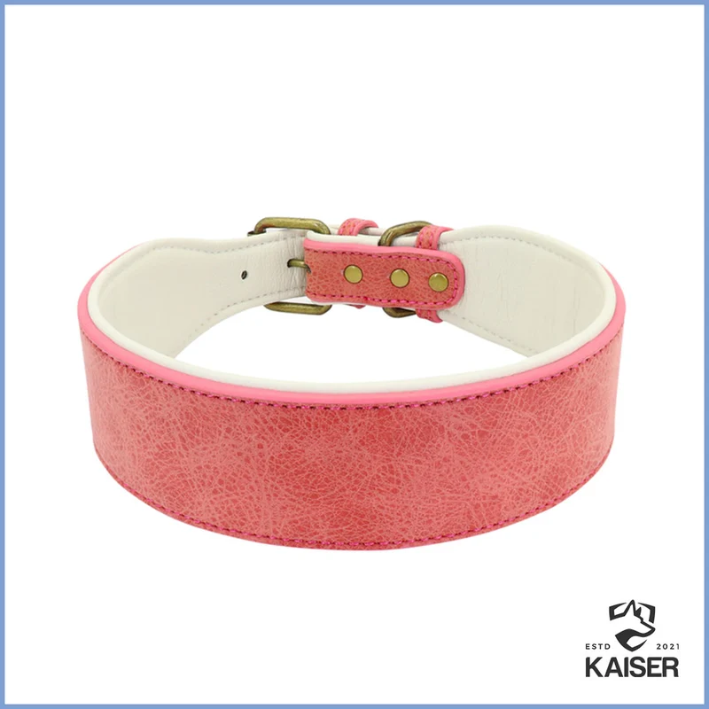 Breites Hundehalsband