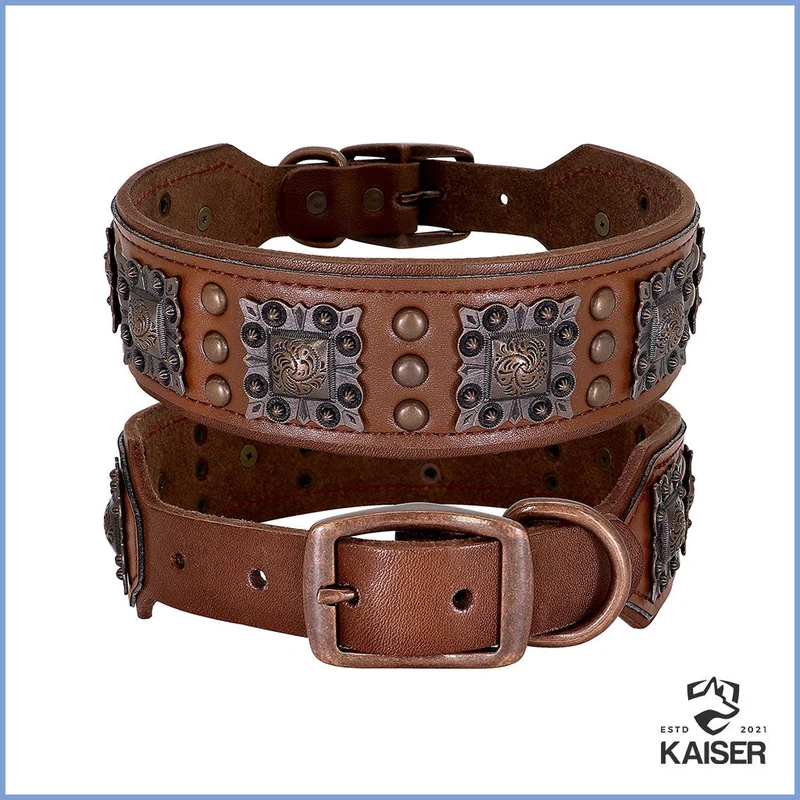 Ausgefallene Hundehalsband Leder