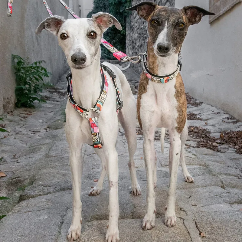 Max & Molly Smart ID Hundehalsband Missy Pop