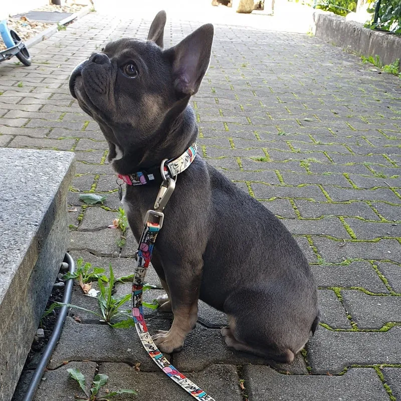 Max & Molly Smart ID Hundehalsband Missy Pop