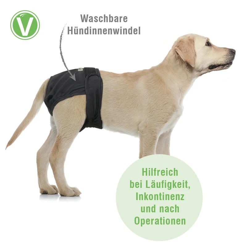 Waschbare Hündinnenwindel Schwarz