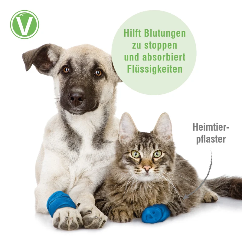 Heimtierpflaster