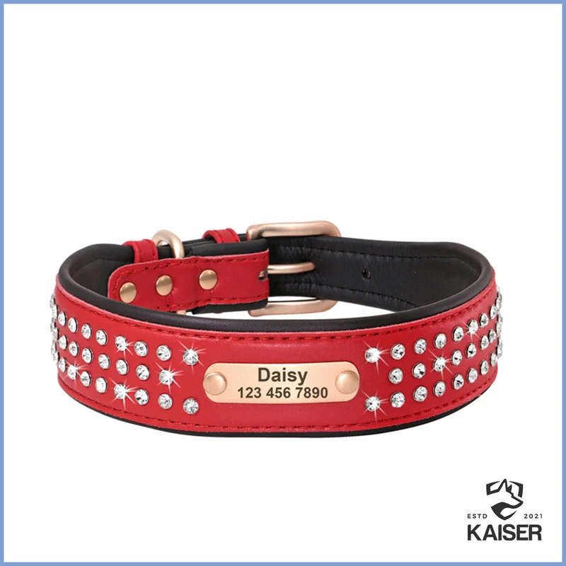 Stylish Hundehalsband mit Name Leder mit Strass
