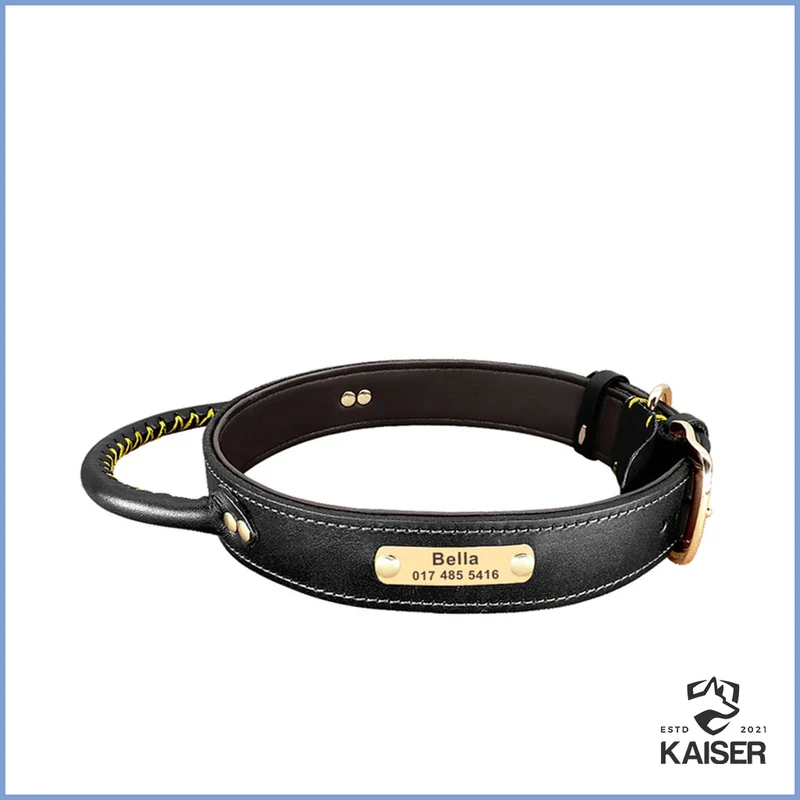 Hundehalsband mit Griff mit Namen