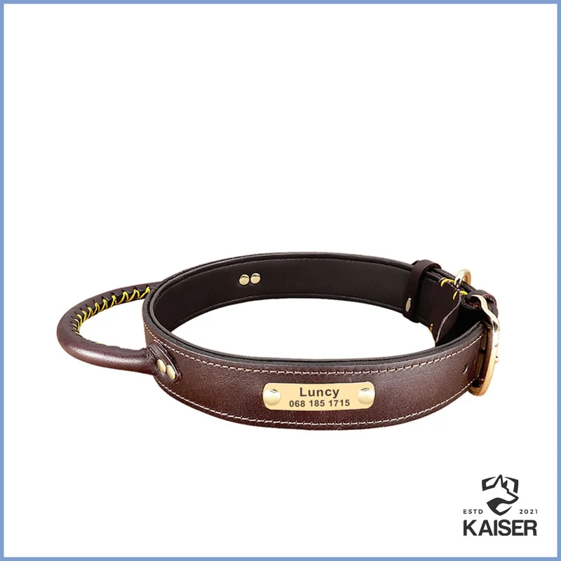Hundehalsband mit Griff mit Namen
