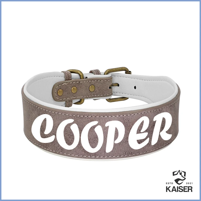 Hundehalsband Leder breit mit Namen