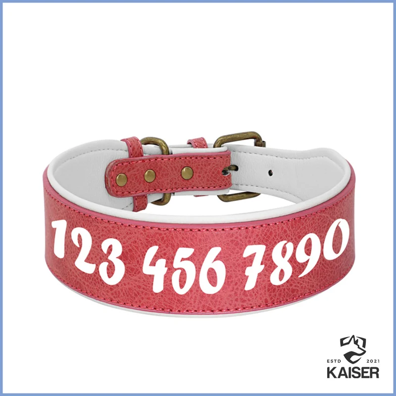 Hundehalsband Leder breit mit Namen