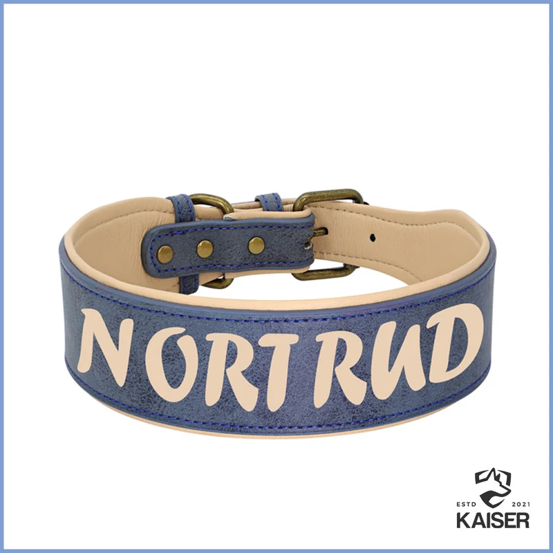Hundehalsband Leder breit mit Namen