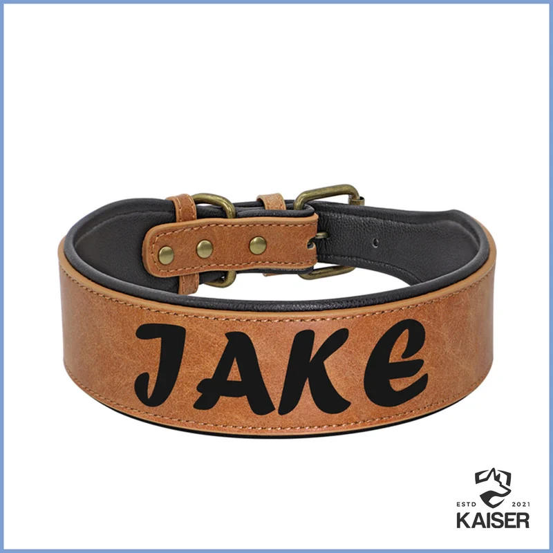 Hundehalsband Leder breit mit Namen