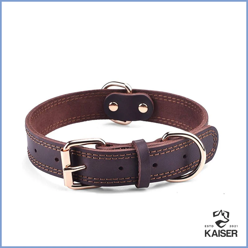 Kentucky Hundehalsband