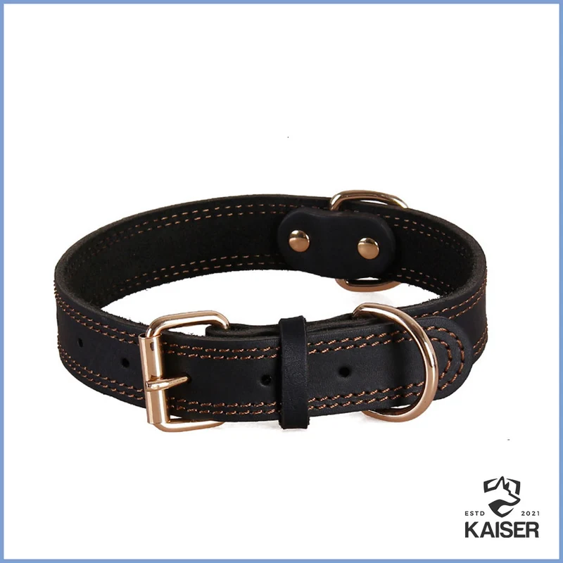 Kentucky Hundehalsband