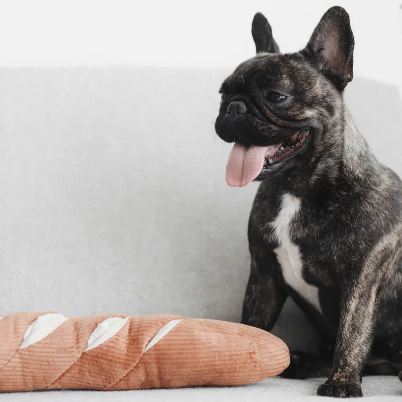 Schnüffelspielzeug Baguette
