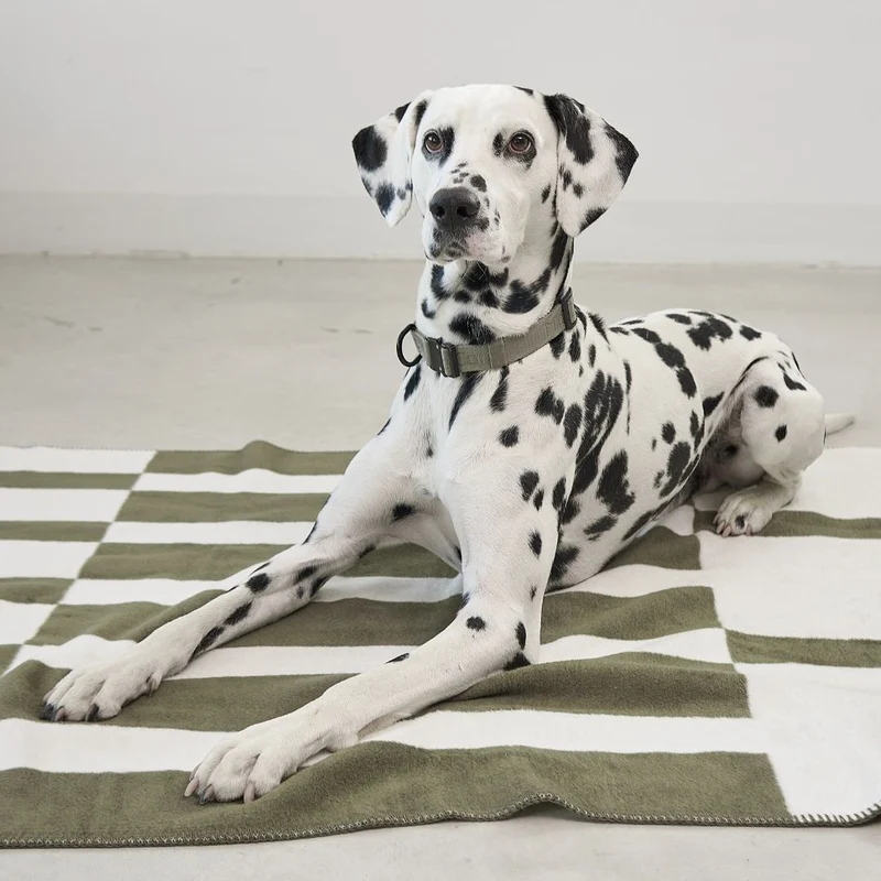 Blocco Hundedecke Grolive / Natur