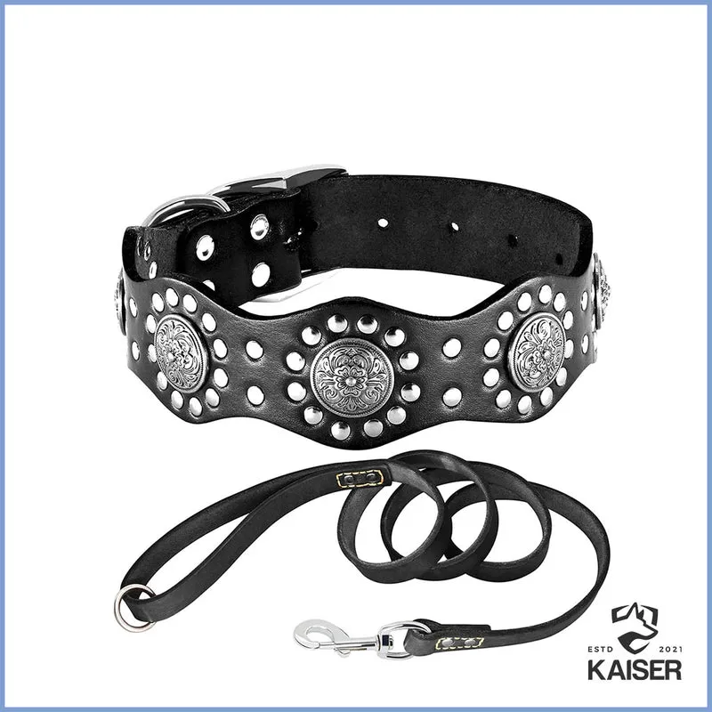 Hundehalsband und Leine Set