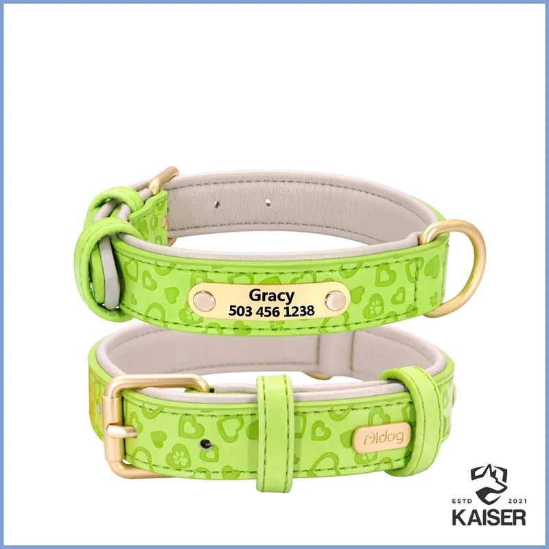 Gepolstertes Hundehalsband aus Leder mit Namensschild