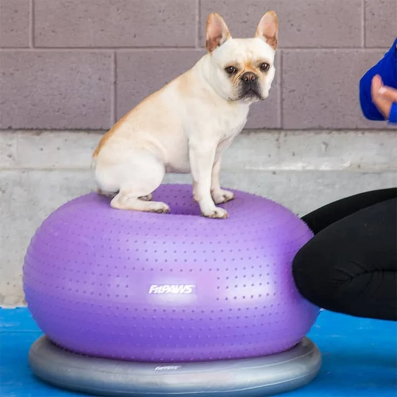 FitPAWS - TRAX | Balance - Donut für Hundetraining