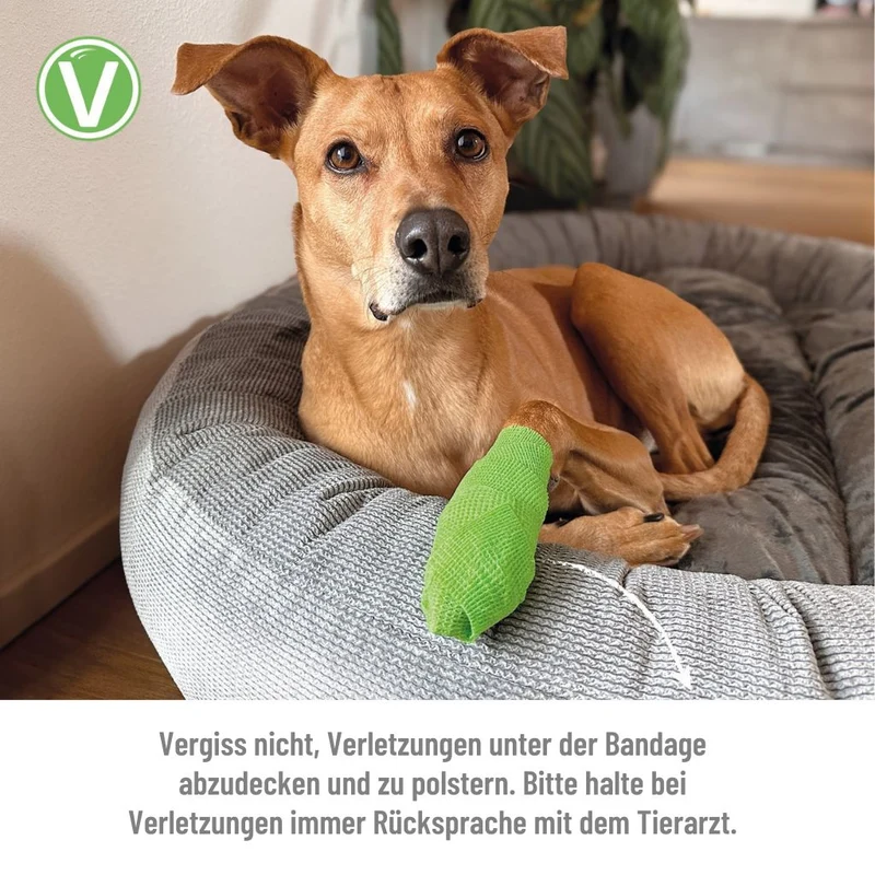 Anti-Lick Bandage
