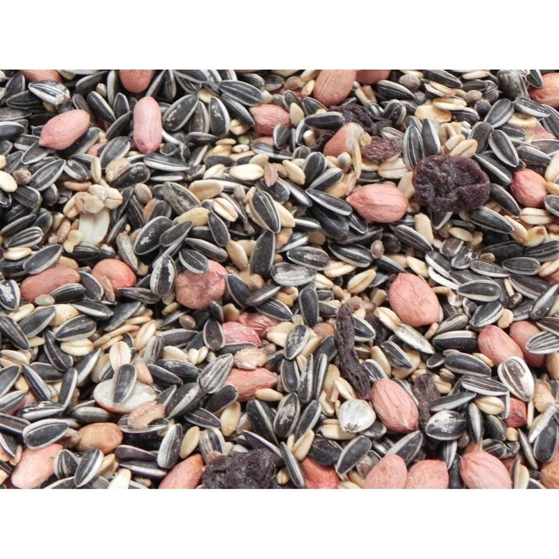 Classic Bird Wildvogelfutter ohne Hirse
