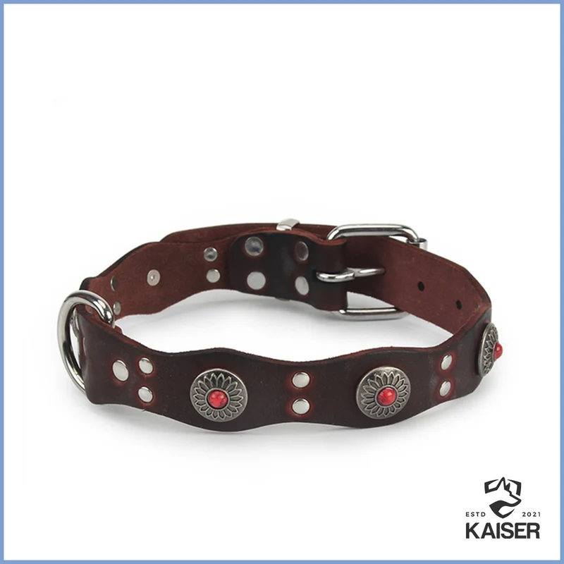 Hundehalsband Indianer Style