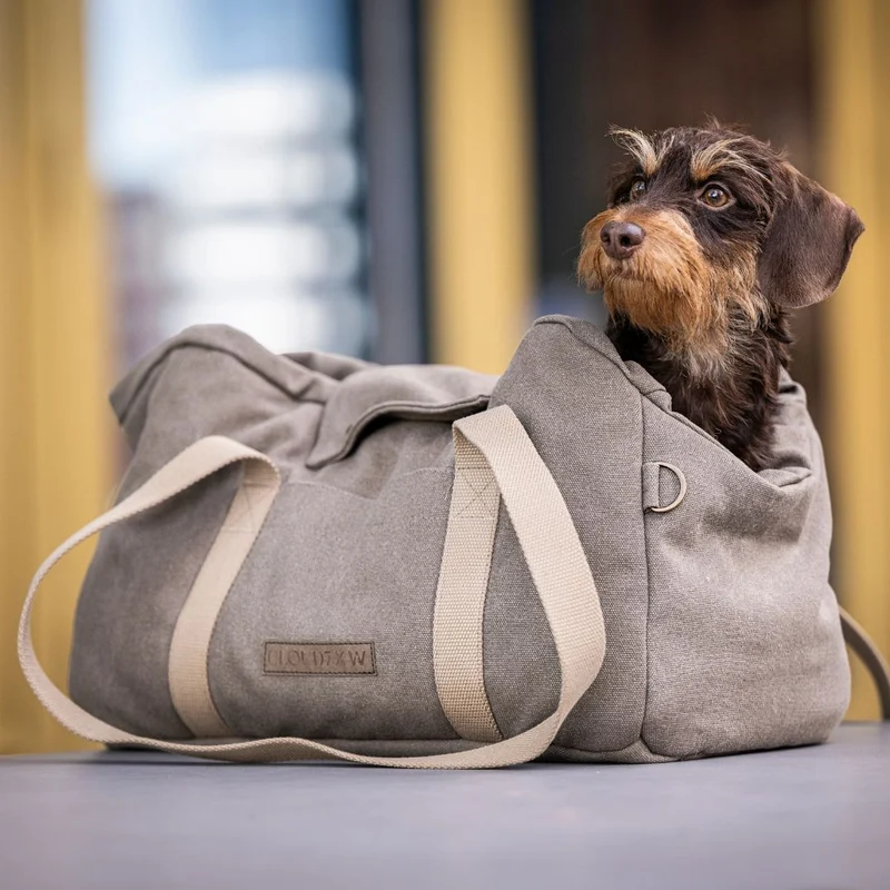 Hundetasche Lucca All Seasons Canvas Sand C7 x Woofstuff