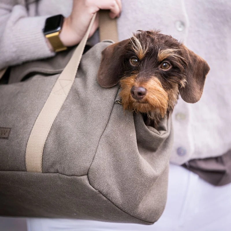 Hundetasche Lucca All Seasons Canvas Sand C7 x Woofstuff