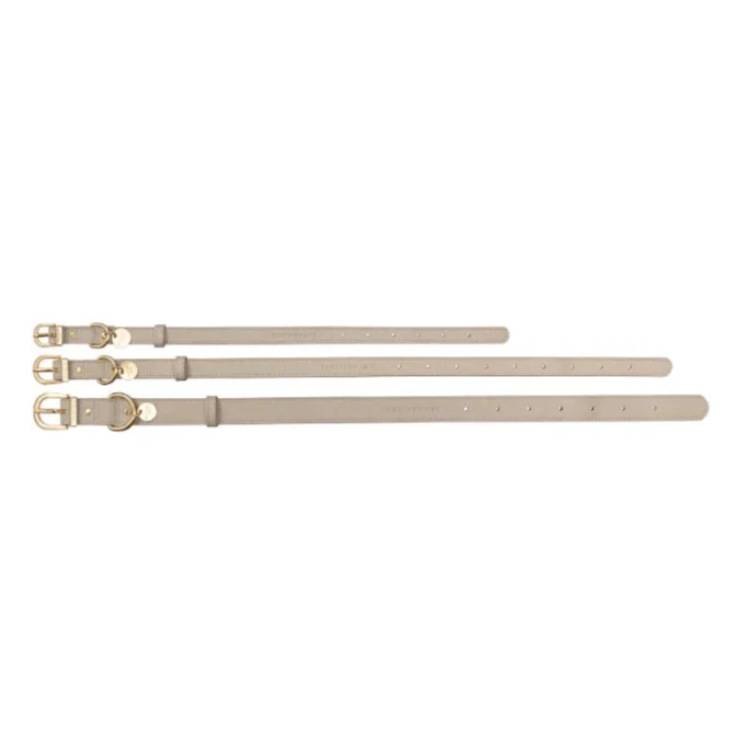 Hundehalsband Atelier Sandstone