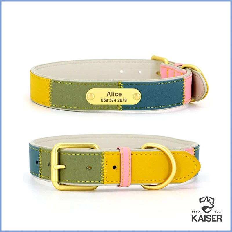 Hundehalsband Leder mit Namen und Telefonnummer
