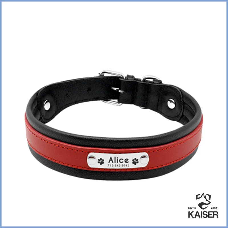 Hundehalsband mit Namen und Telefonnummer
