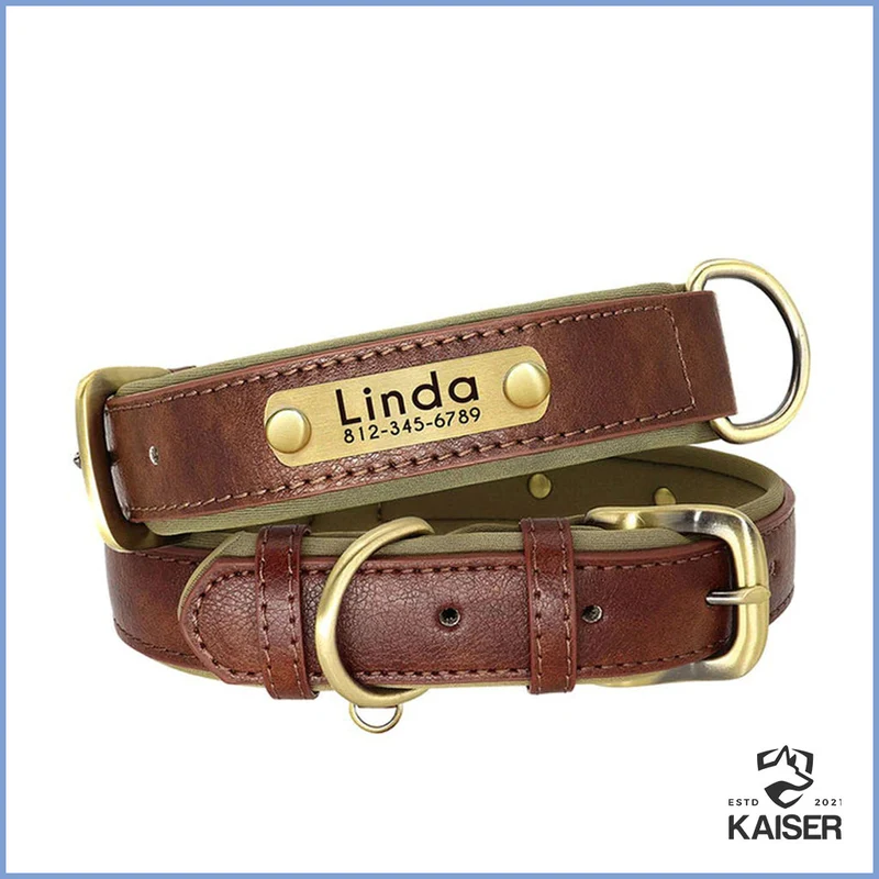 Hundehalsband gepolstert Leder mit Namen