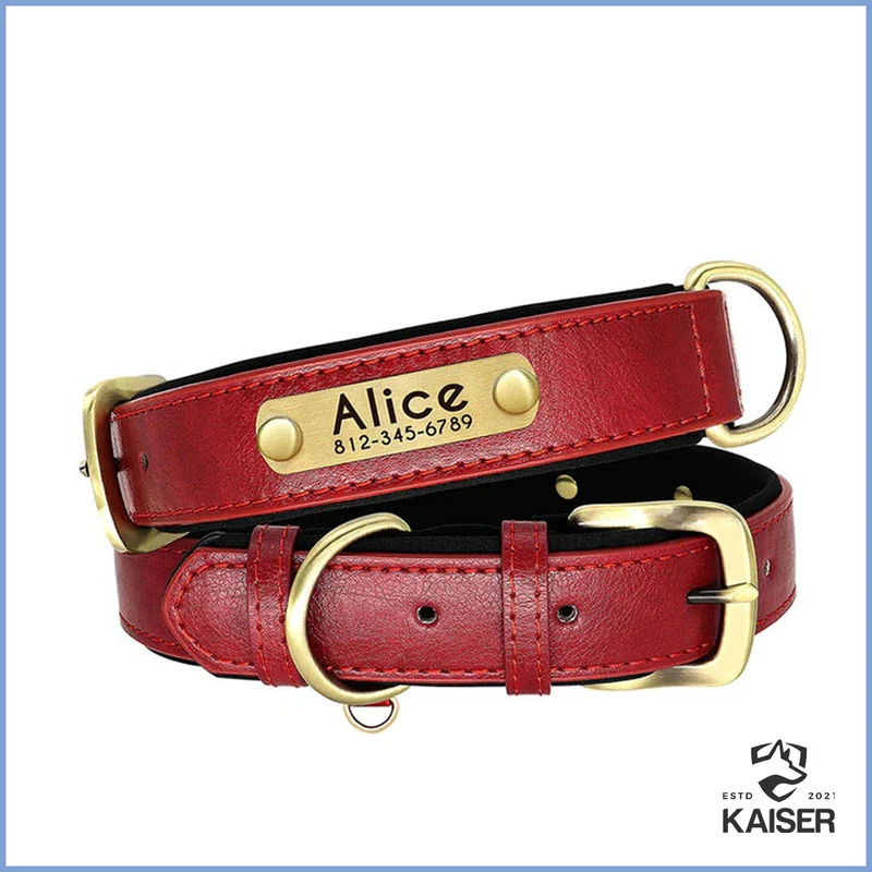 Hundehalsband gepolstert Leder mit Namen