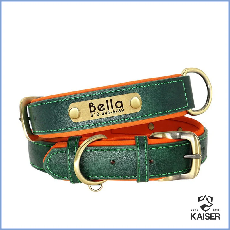 Hundehalsband gepolstert Leder mit Namen