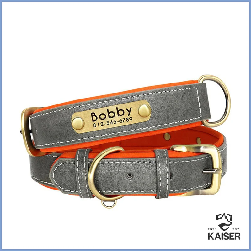 Hundehalsband gepolstert Leder mit Namen