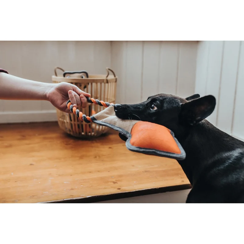 Hunter Hundespielzeug Tough Pombas