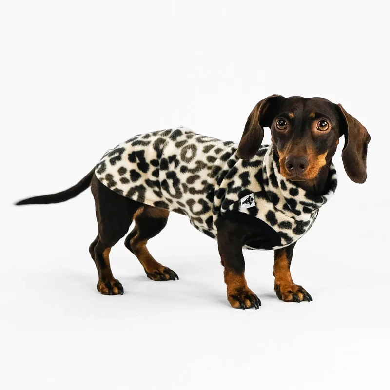 Fleece Shirt für Dackel Leo