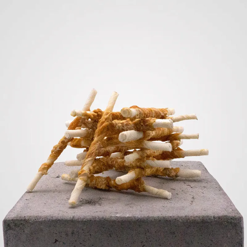 Welpensticks in 4 leckeren Sorten | Premium-Kauartikel für Deinen Hund