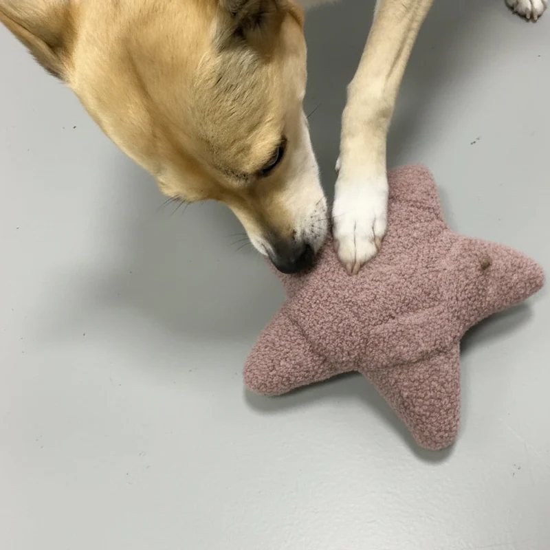 Schnüffel-Stern Rosé Lillabel x Woofstuff