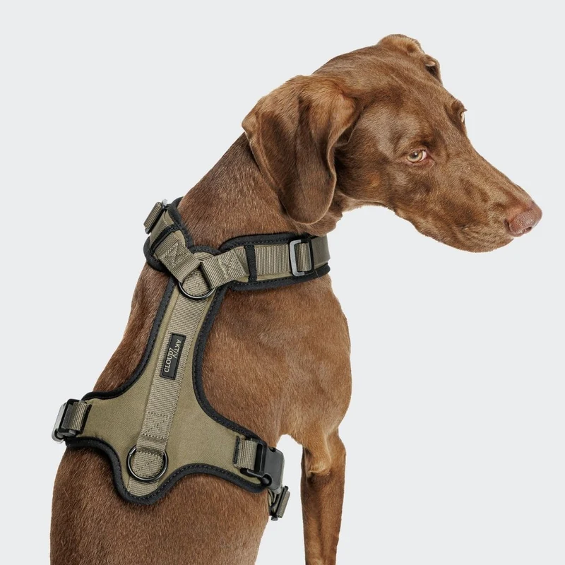 Y-3 Hundegeschirr AKTIV Softshell Olive