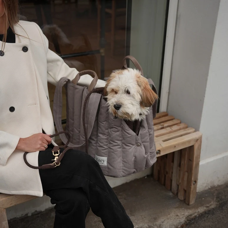 Hundetragetasche Elva Taupe