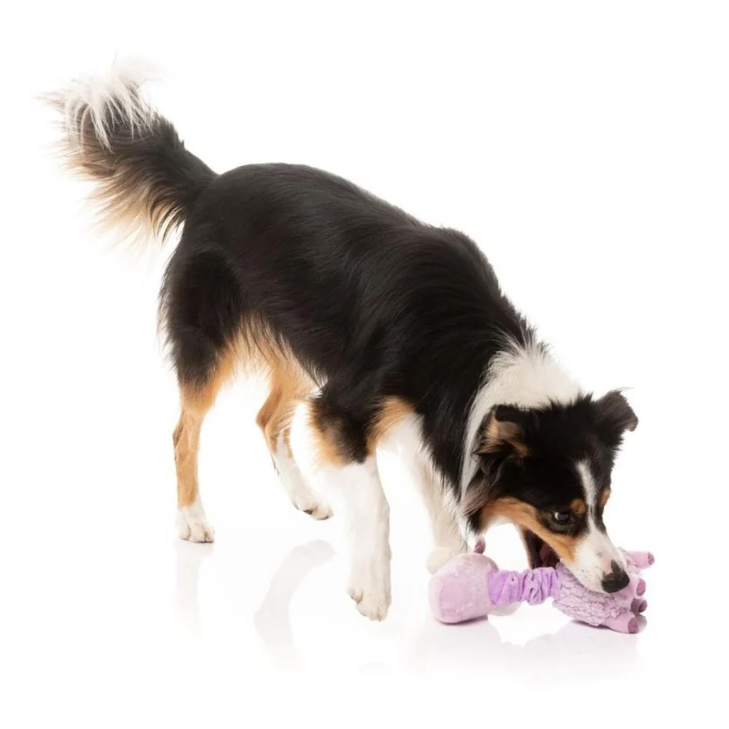 Hundespielzeug Neck Minnit - Neckita The Lama