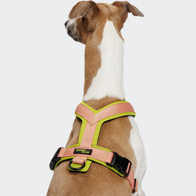 Y-1 Hundegeschirr AKTIV Air-Mesh Peach/Neon Green