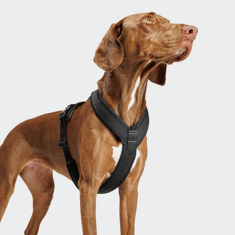 Y-1 Hundegeschirr AKTIV Air-Mesh Black