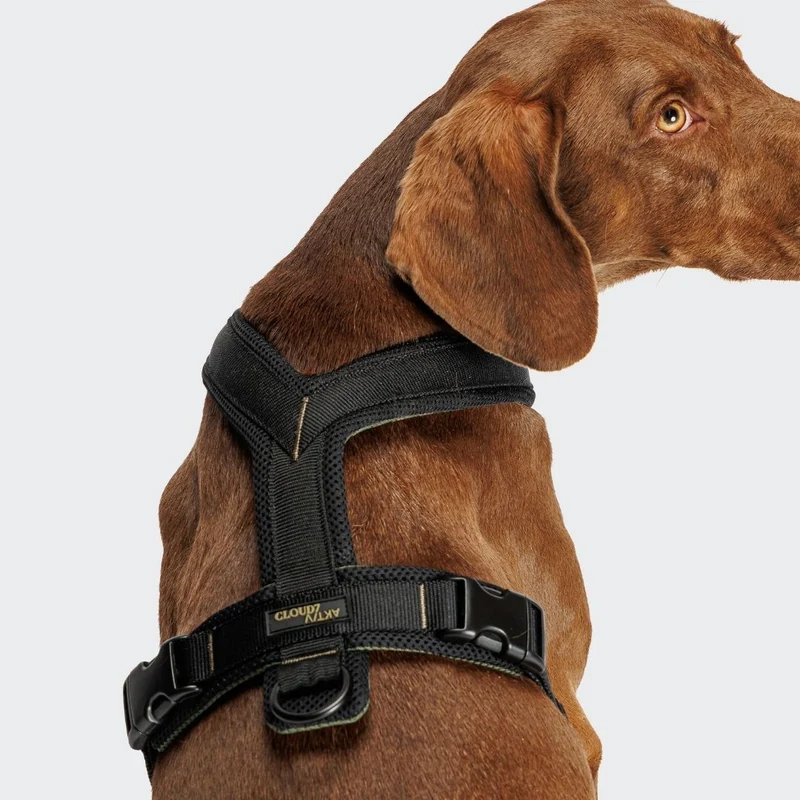 Y-1 Hundegeschirr AKTIV Air-Mesh Black