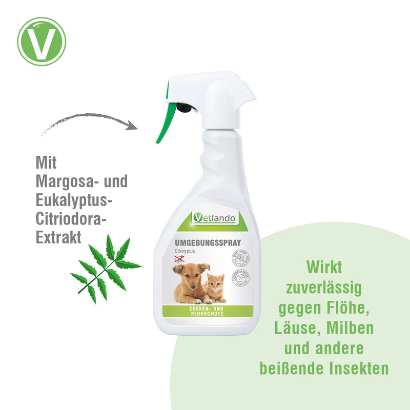 Citrolyptus Umgebungsspray