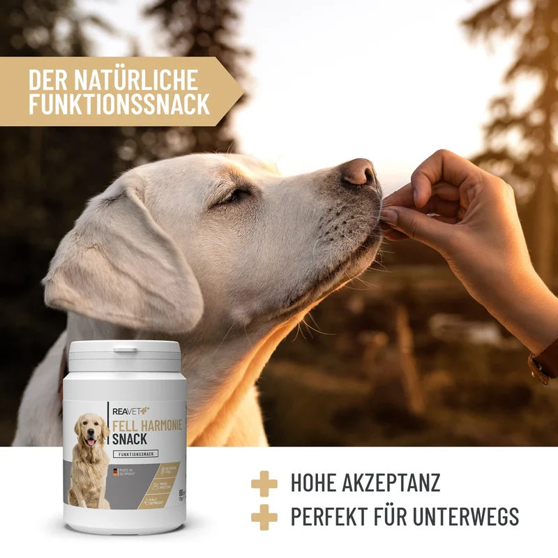 Fell Harmonie Snack