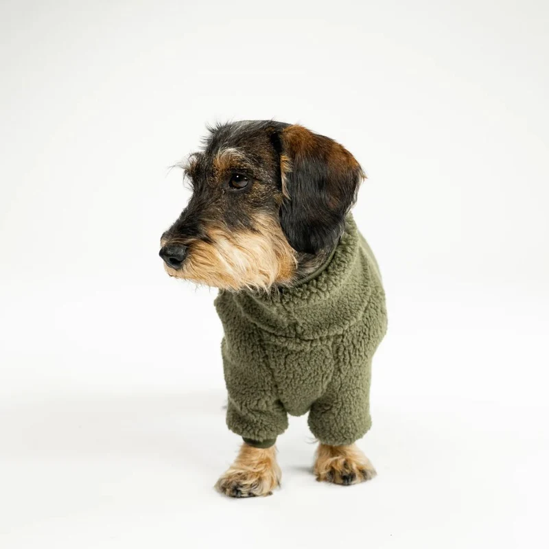 TEDDY Overall für Dackel Olivgrün
