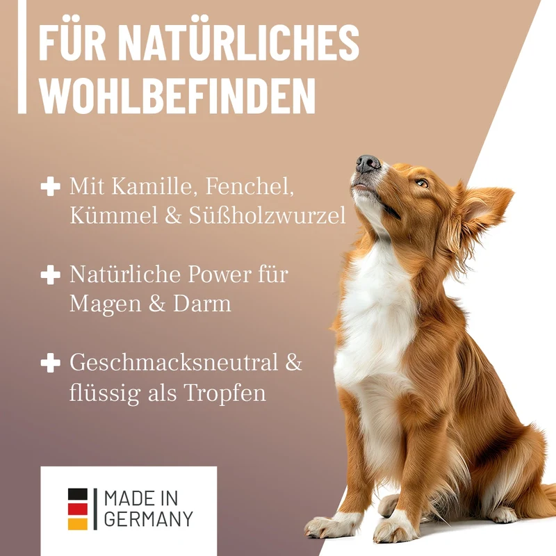 Magen & Darm Tropfen
