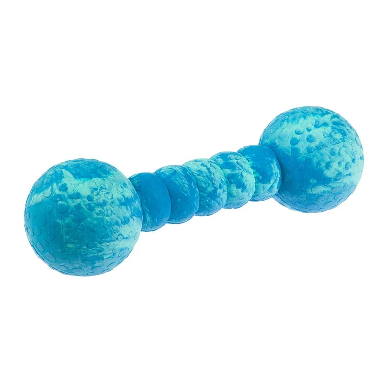 Aqua Fun Gym