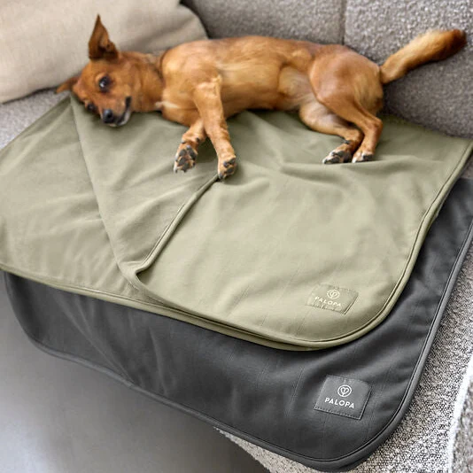 Hundedecke Schutzmatte Benti Olive